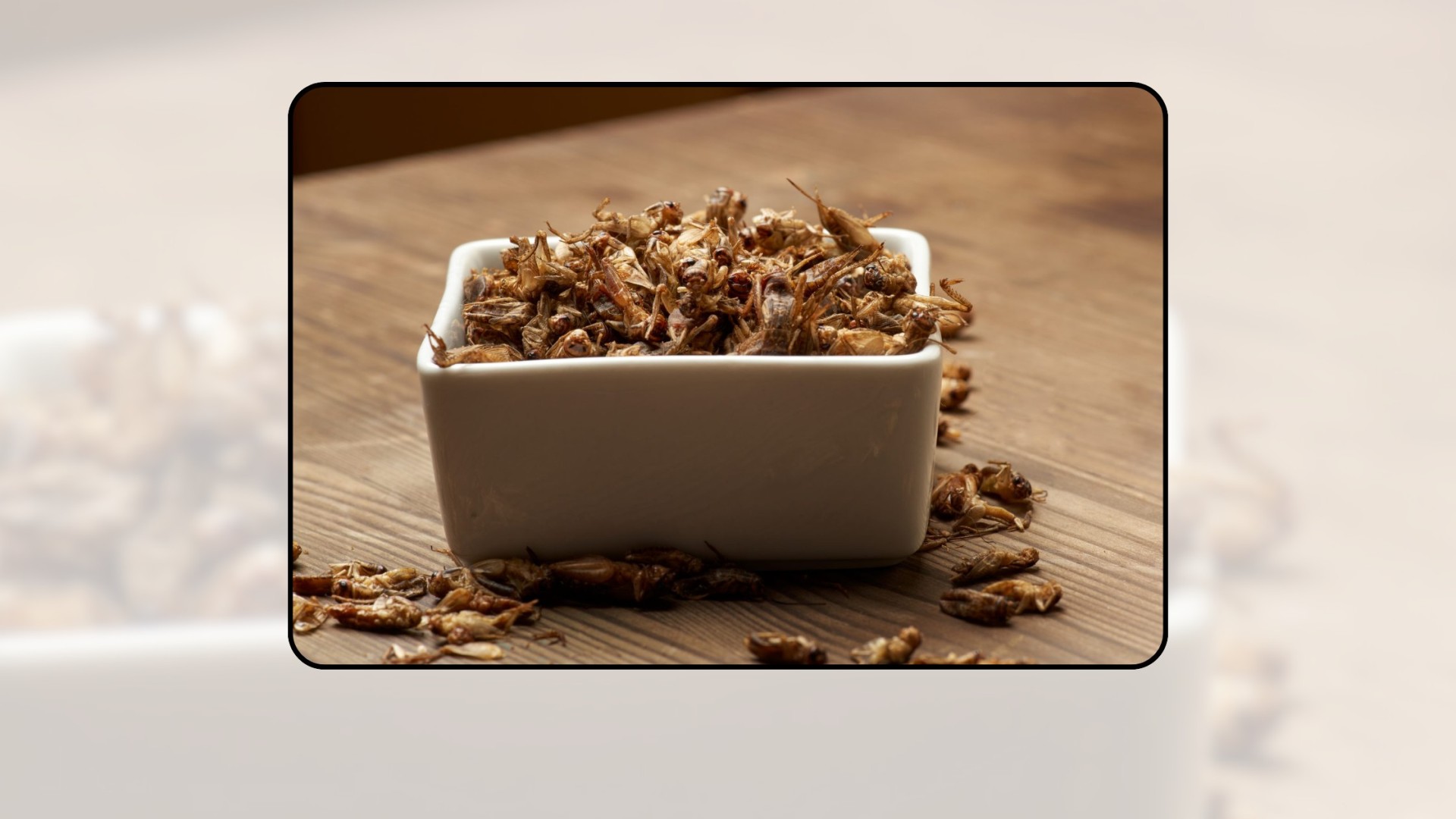 Crickets at the End of the World