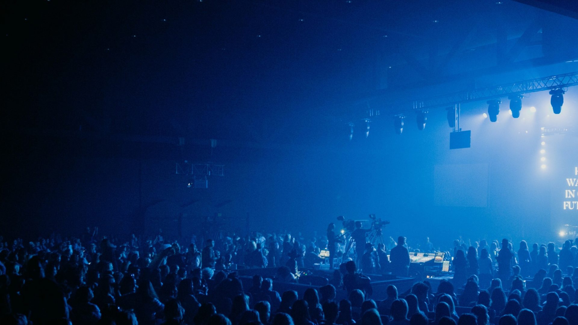 Shepherds, Not Celebrities